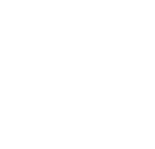 logo pcpuma